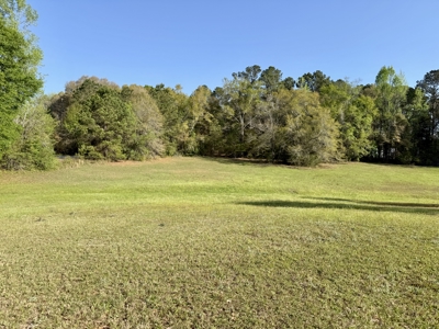 Secluded Country Home on 9.9ac Located N of Hartford Alabama - image 12