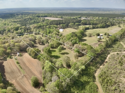 Secluded Country Home on 9.9ac Located N of Hartford Alabama - image 8