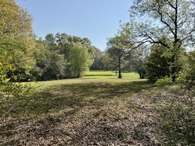 Secluded Country Home on 9.9ac Located N of Hartford Alabama - image 28