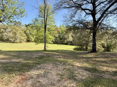 Secluded Country Home on 9.9ac Located N of Hartford Alabama - image 16