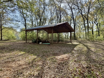 Secluded Country Home on 9.9ac Located N of Hartford Alabama - image 26