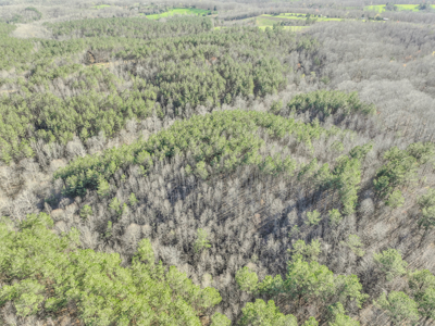 90 +/- Acre Hunting Property in Westpoint Tennessee - image 18