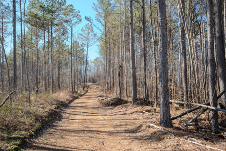 90 +/- Acre Hunting Property in Westpoint Tennessee - image 28