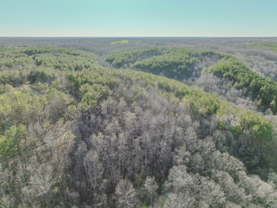 90 +/- Acre Hunting Property in Westpoint Tennessee - image 26