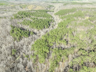 90 +/- Acre Hunting Property in Westpoint Tennessee - image 14