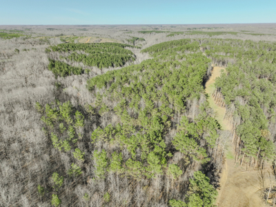 90 +/- Acre Hunting Property in Westpoint Tennessee - image 11
