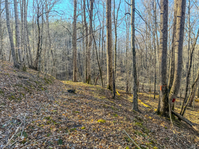 90 +/- Acre Hunting Property in Westpoint Tennessee - image 6