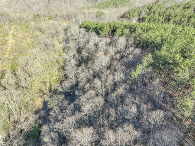 90 +/- Acre Hunting Property in Westpoint Tennessee - image 17