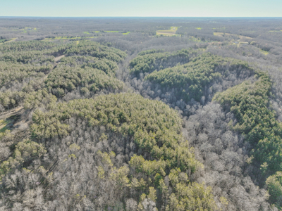 90 +/- Acre Hunting Property in Westpoint Tennessee - image 27