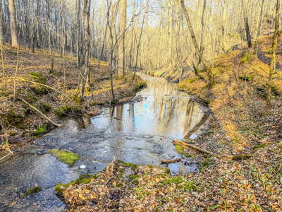 90 +/- Acre Hunting Property in Westpoint Tennessee - image 10