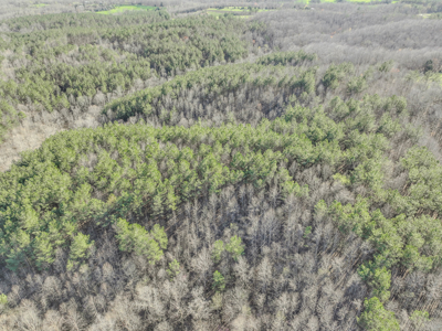 90 +/- Acre Hunting Property in Westpoint Tennessee - image 16
