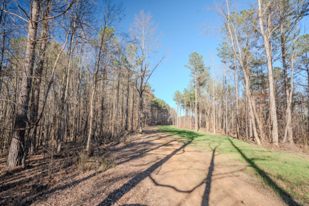 90 +/- Acre Hunting Property in Westpoint Tennessee - image 31