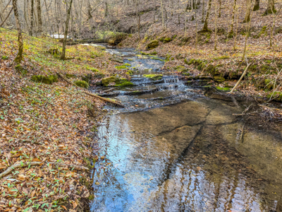 90 +/- Acre Hunting Property in Westpoint Tennessee - image 9