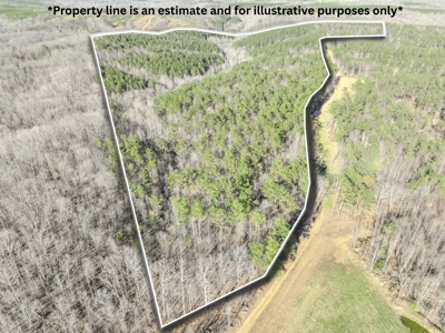 90 +/- Acre Hunting Property in Westpoint Tennessee - image 1