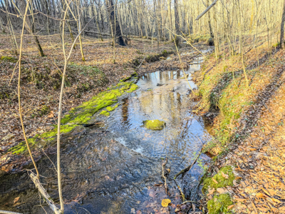90 +/- Acre Hunting Property in Westpoint Tennessee - image 7