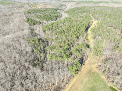 90 +/- Acre Hunting Property in Westpoint Tennessee - image 12