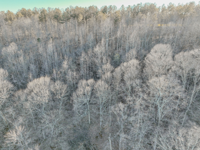 90 +/- Acre Hunting Property in Westpoint Tennessee - image 25