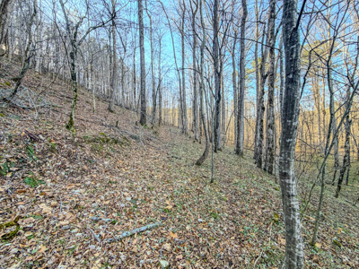 90 +/- Acre Hunting Property in Westpoint Tennessee - image 5