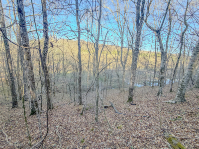 90 +/- Acre Hunting Property in Westpoint Tennessee - image 2