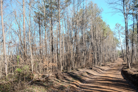 90 +/- Acre Hunting Property in Westpoint Tennessee - image 30