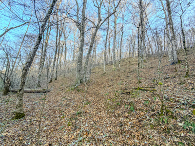 90 +/- Acre Hunting Property in Westpoint Tennessee - image 4