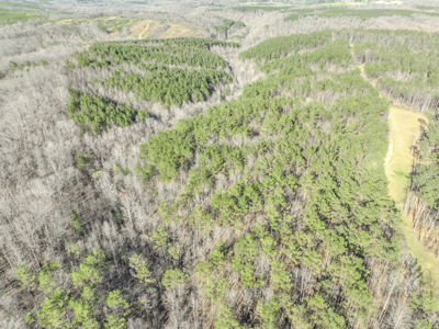 90 +/- Acre Hunting Property in Westpoint Tennessee - image 13
