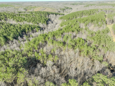 90 +/- Acre Hunting Property in Westpoint Tennessee - image 19