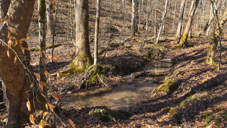 Unrestricted Acres with Farmhouse, East Tennessee Hancock County - image 47