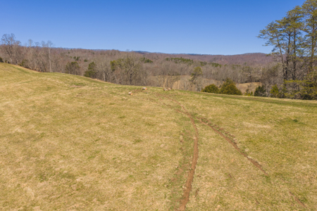 Unrestricted Acres with Farmhouse, East Tennessee Hancock County - image 16