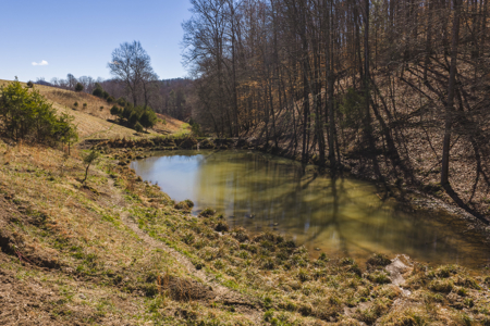 Unrestricted Acres with Farmhouse, East Tennessee Hancock County - image 15