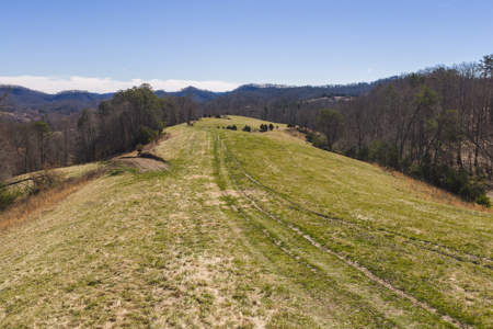 Unrestricted Acres with Farmhouse, East Tennessee Hancock County - image 8
