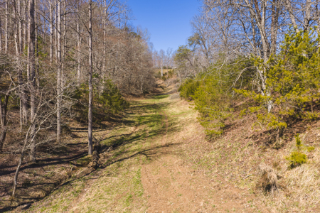 Unrestricted Acres with Farmhouse, East Tennessee Hancock County - image 14