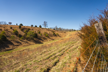Unrestricted Acres with Farmhouse, East Tennessee Hancock County - image 25