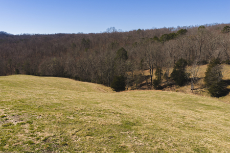 Unrestricted Acres with Farmhouse, East Tennessee Hancock County - image 5