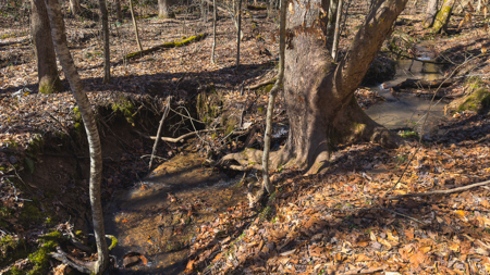 Unrestricted Acres with Farmhouse, East Tennessee Hancock County - image 46