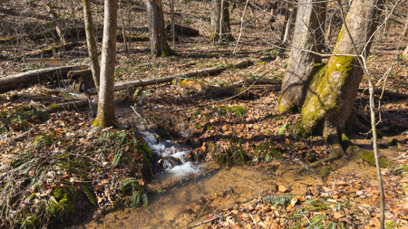 Unrestricted Acres with Farmhouse, East Tennessee Hancock County - image 48