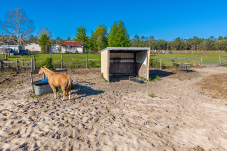 1 Acre. 3 Bedrooms, Paved Road - image 10