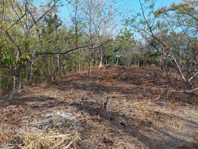 Expansive Land with Creek in Nueva Gorgona Near Coronado - image 5