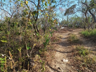 Expansive Land with Creek in Nueva Gorgona Near Coronado - image 6