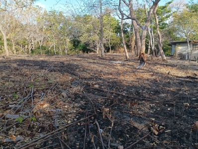 Expansive Land with Creek in Nueva Gorgona Near Coronado - image 13