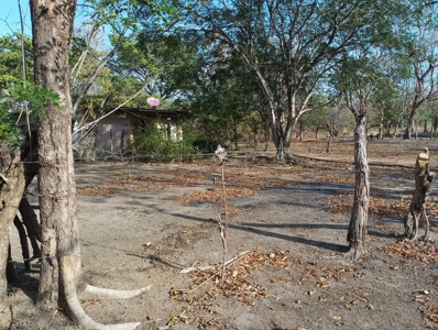 Expansive Land with Creek in Nueva Gorgona Near Coronado - image 2
