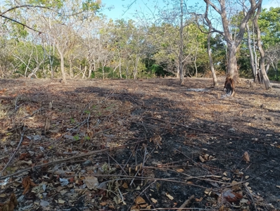 Expansive Land with Creek in Nueva Gorgona Near Coronado - image 3