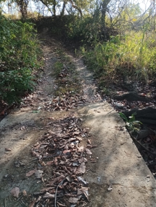 Expansive Land with Creek in Nueva Gorgona Near Coronado - image 7