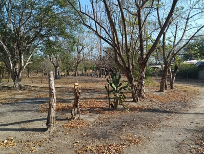 Expansive Land with Creek in Nueva Gorgona Near Coronado - image 1