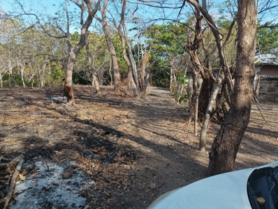 Expansive Land with Creek in Nueva Gorgona Near Coronado - image 4