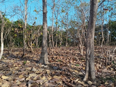 Expansive Land with Creek in Nueva Gorgona Near Coronado - image 12