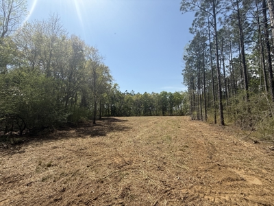 7 Acre Homesite in Geneva County Alabama - image 11