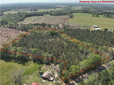 7 Acre Homesite in Geneva County Alabama - image 4