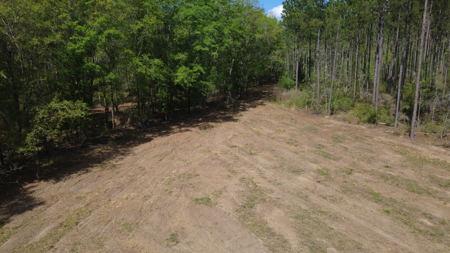 7 Acre Homesite in Geneva County Alabama - image 8
