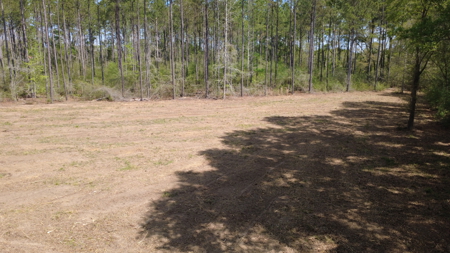 7 Acre Homesite in Geneva County Alabama - image 6